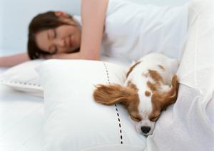 岐阜工場求人をシゴトクラシドットcomで探そう